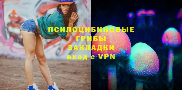 ГАЛЛЮЦИНОГЕННЫЕ ГРИБЫ Баксан